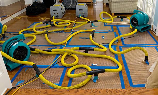 Professional Sewage Cleanup technician working in Newport, MI