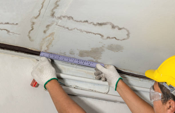 Affordable Water Damage Repair solutions in Newport, MI